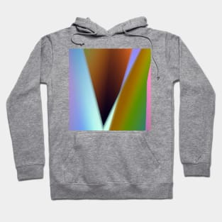 COLORFUL ABSTRACT RAINBOW TEXTURE Hoodie